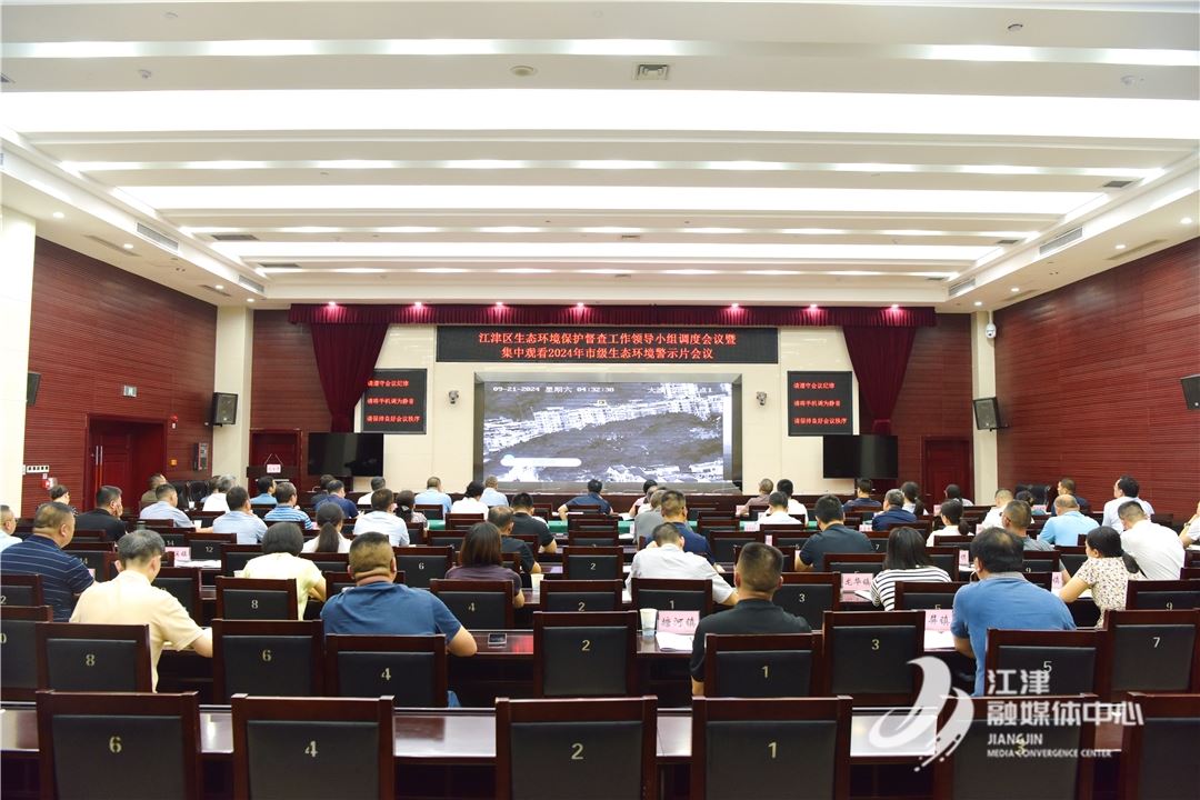 我区召开生态环境保护督查工作领导小组调度会议