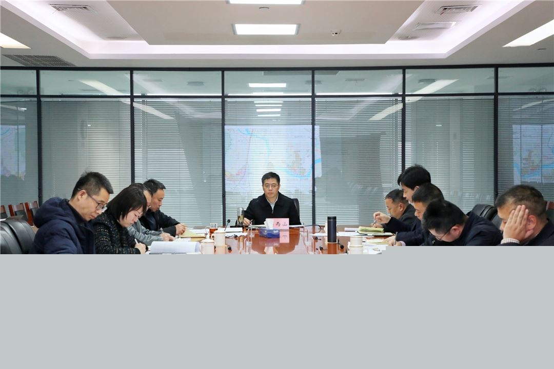 重庆枢纽港产业园召开项目包装策划专题会