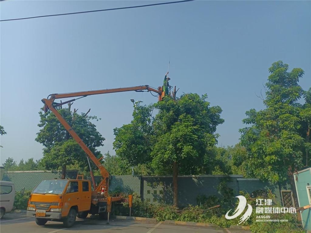 区城市管理局:持续优化停车环境,让市民“放心停”