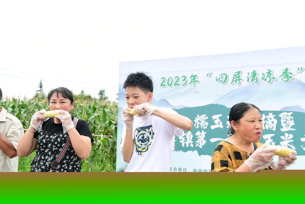 2025年第四届“四屏清凉季”之糯玉米文化节启幕!趣味活动+甜糯玉米等你来嗨