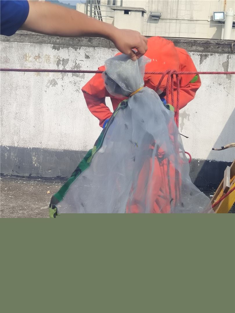 百叶窗藏“不速之客” 德感御江山小区两场“驱蜂大战”速战速决