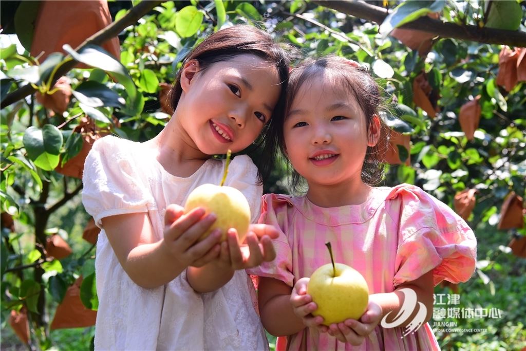 江津甜到招蜂、鲜到爆汁的水果!谁能拒绝?