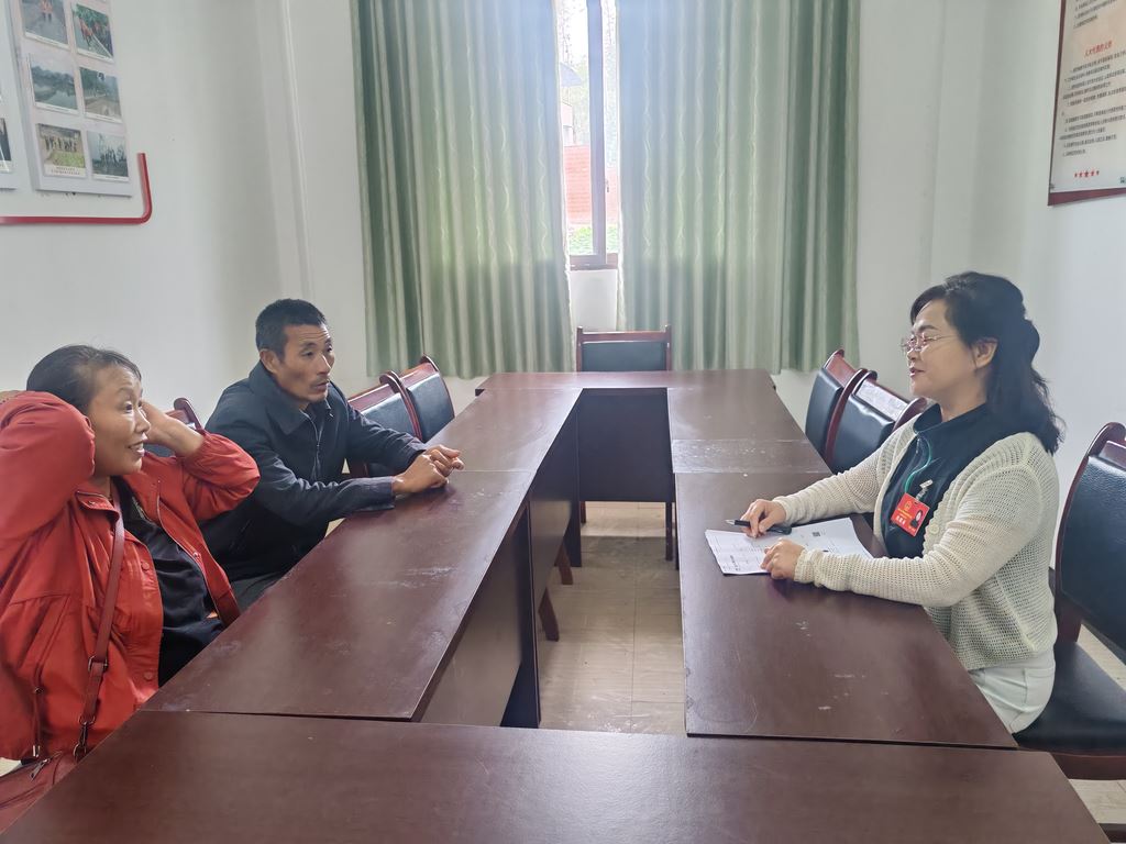 油溪镇：人大代表主动作为 破解历史遗留 “办证难” 