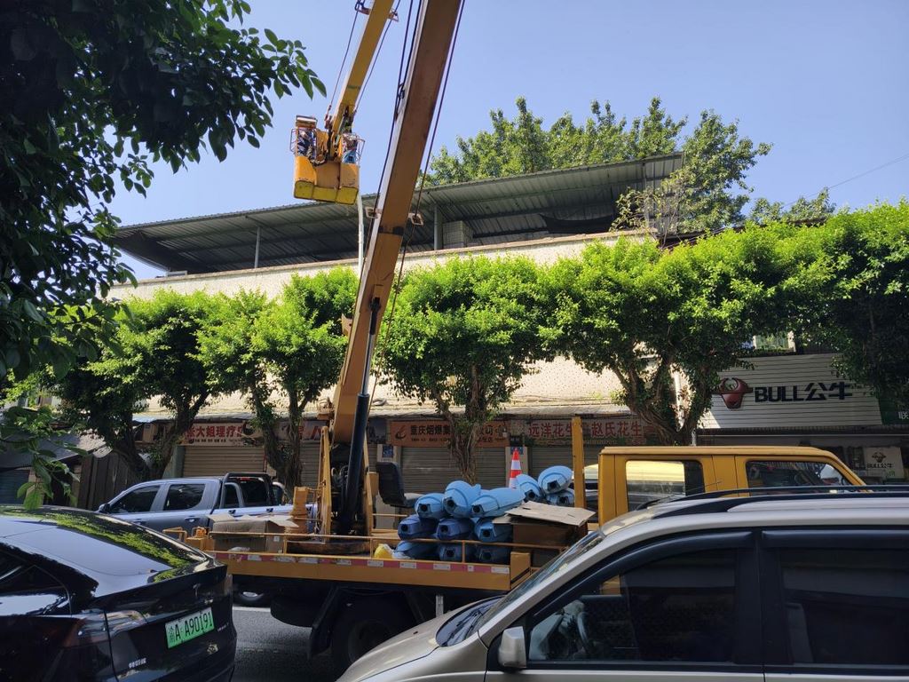 油溪镇：“钠”旧迎新，点亮绿色宜居新生活