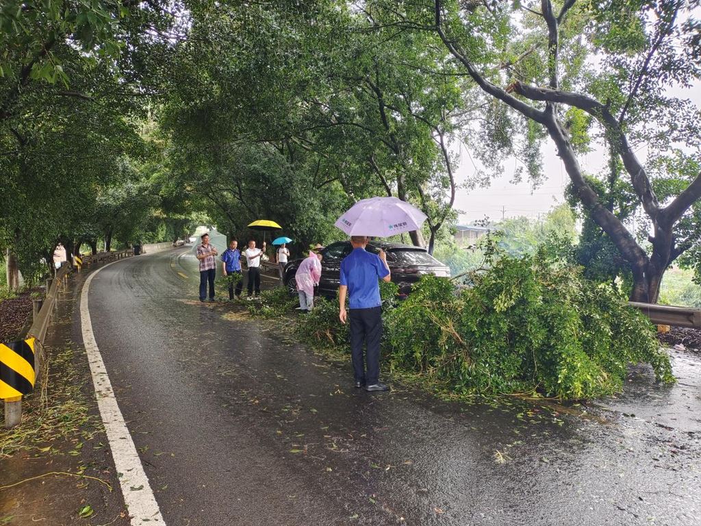 油溪镇全力应对强降雨，紧急排危护平安