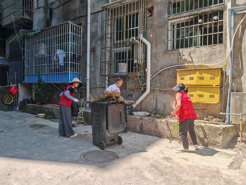 西湖镇开展蚊媒防控爱国卫生专项行动