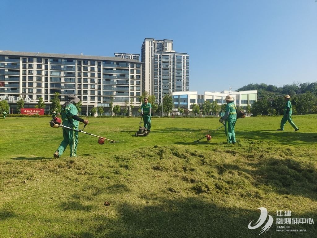 街头那一抹橙绿 城市幸福的终极密码