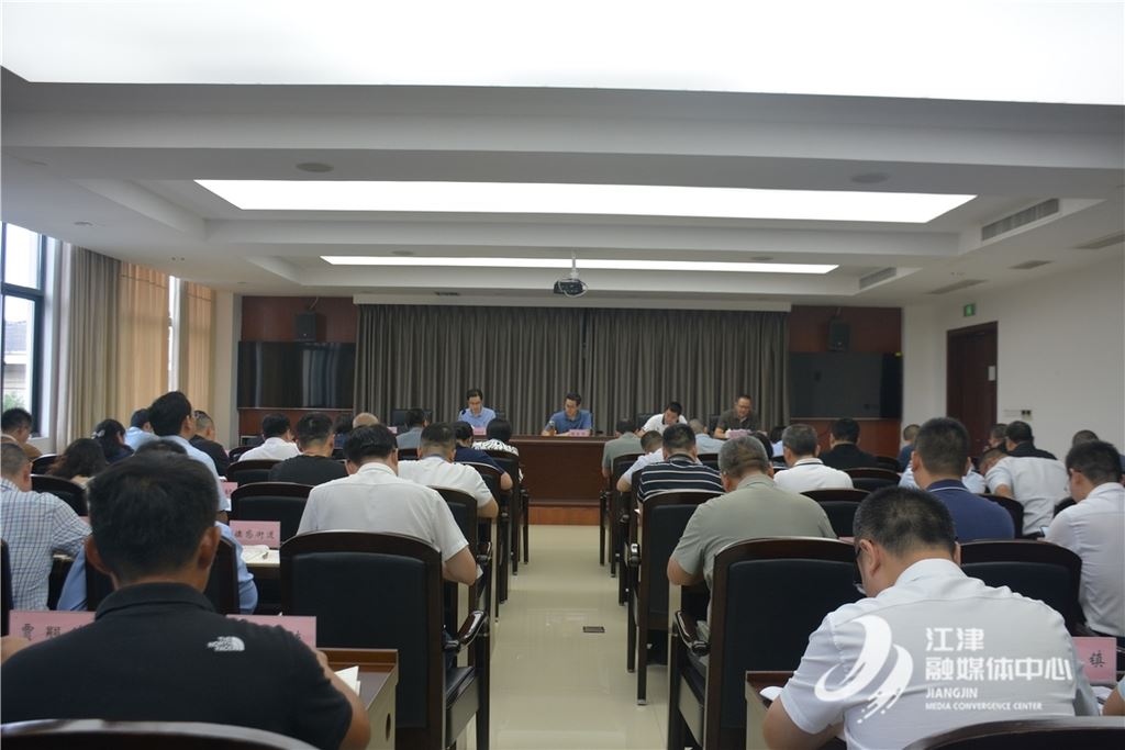 我区召开生态环境保护督查工作领导小组调度会