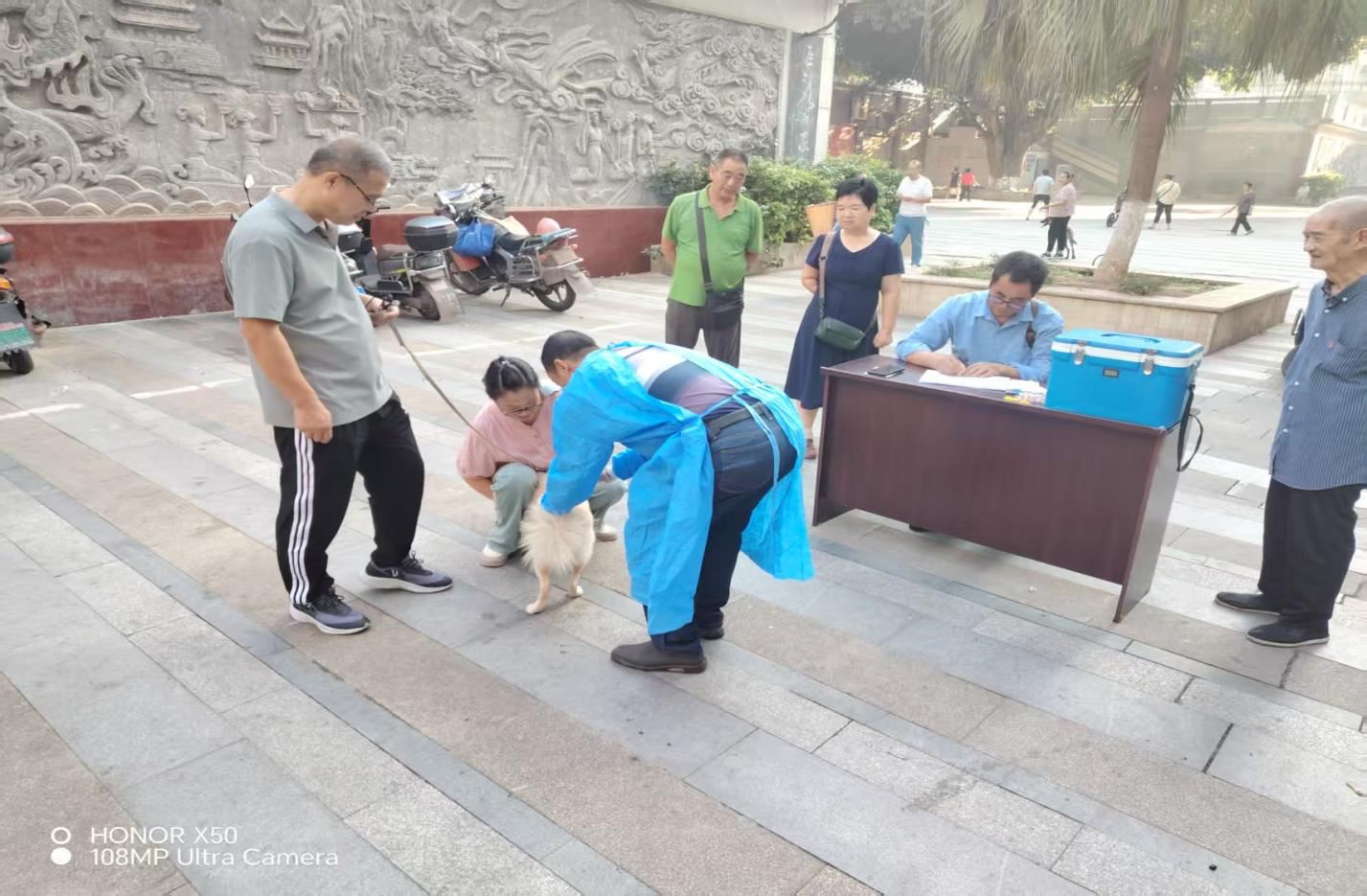 油溪镇扎实推进犬只集中免疫，筑牢狂犬病防控屏障