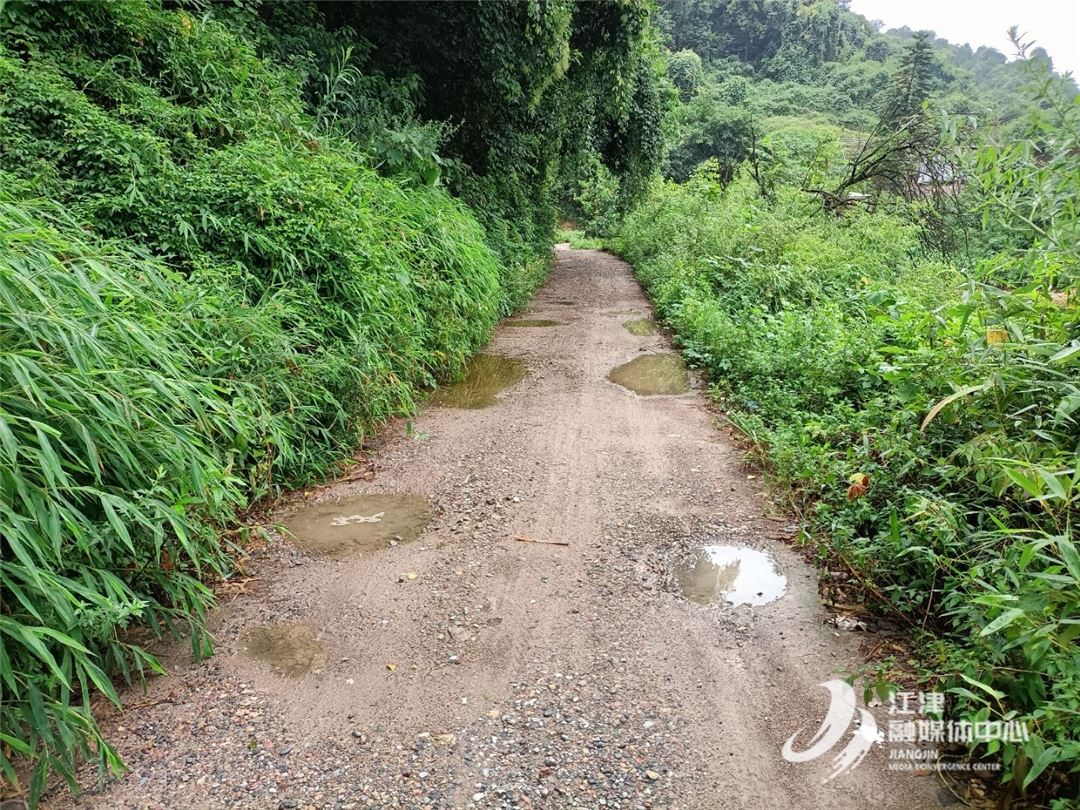 箩筲路换“新颜”！双福街道贴心守护居民出行