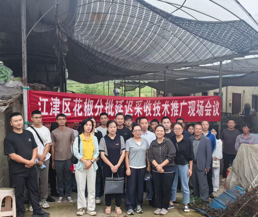 油溪镇推广花椒新技术，实现麻度效益双提升