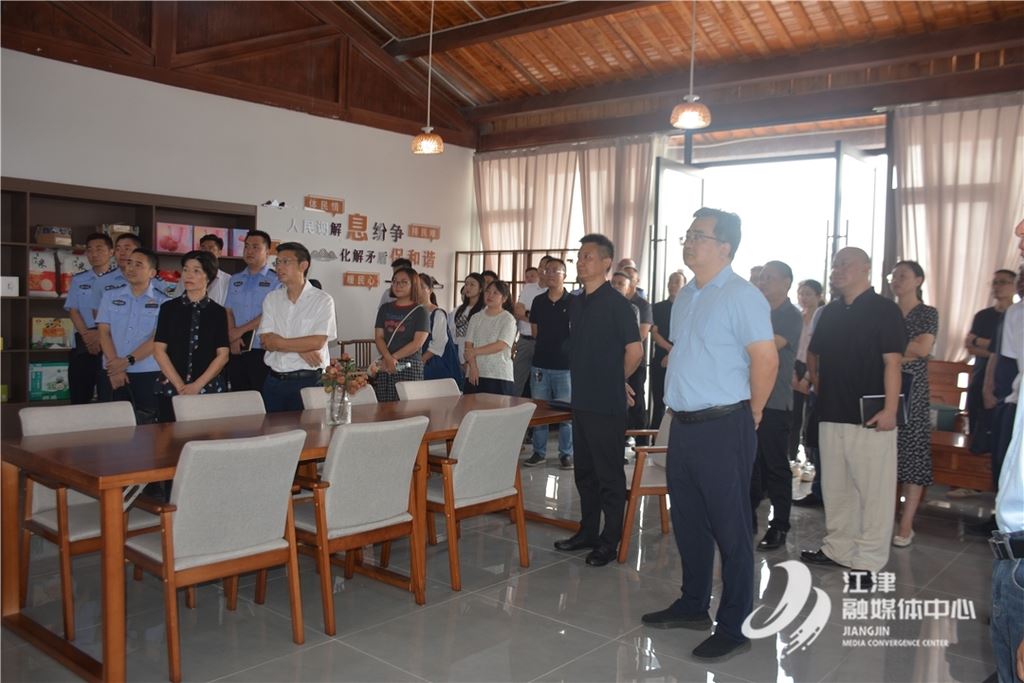 加快推进平安法治建设各项工作取得新成效