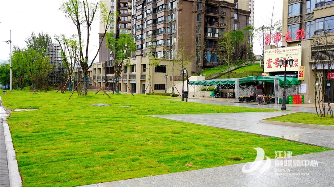 共建美好家园：“人民城市”理念的生动实践——珞璜镇恒大文化城小区公共绿化带焕新记