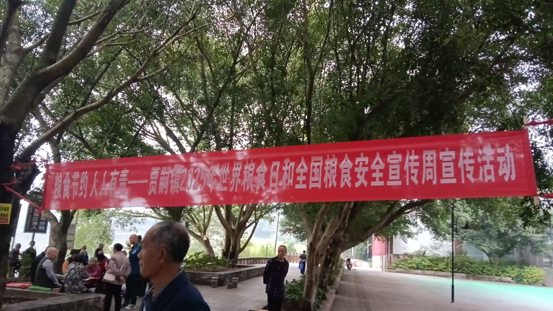 贾嗣镇开展全国粮食安全宣传周主题活动