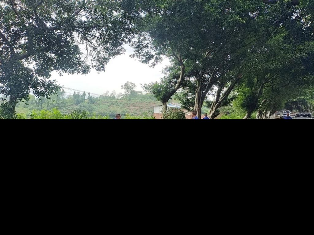 油溪镇：快速处置断枝险情，及时排危保障畅通