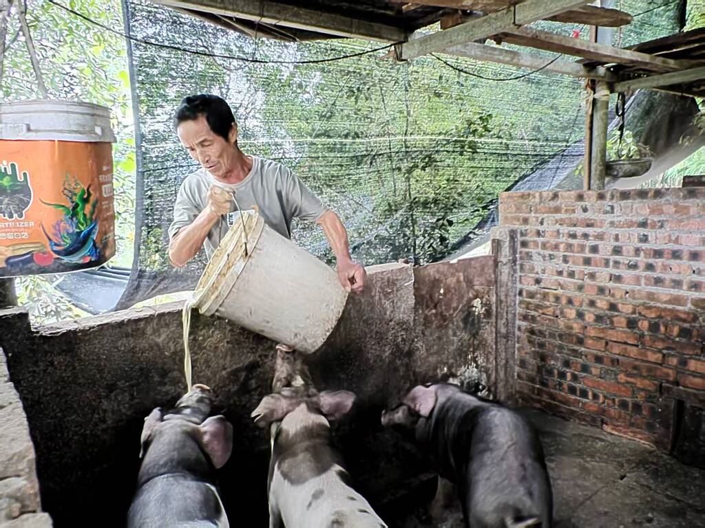 人大代表“卖猪”记