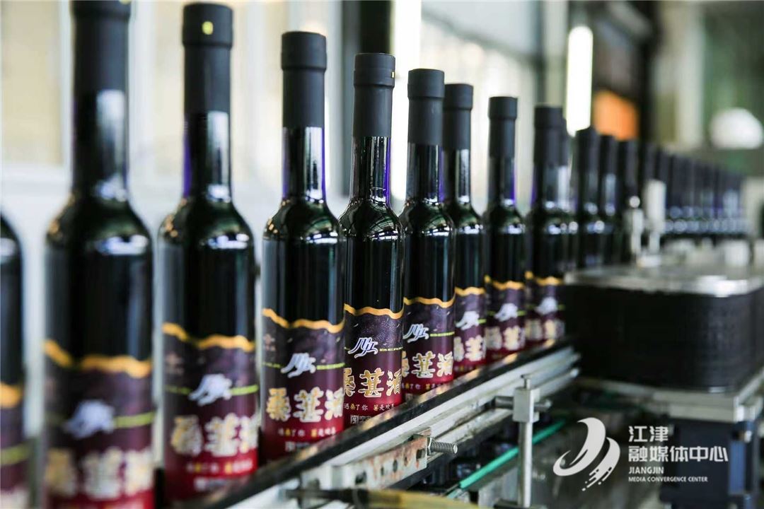 重庆老牌酒企创新求变 “几江”桑葚酒诠释“健康微醺”新时尚
