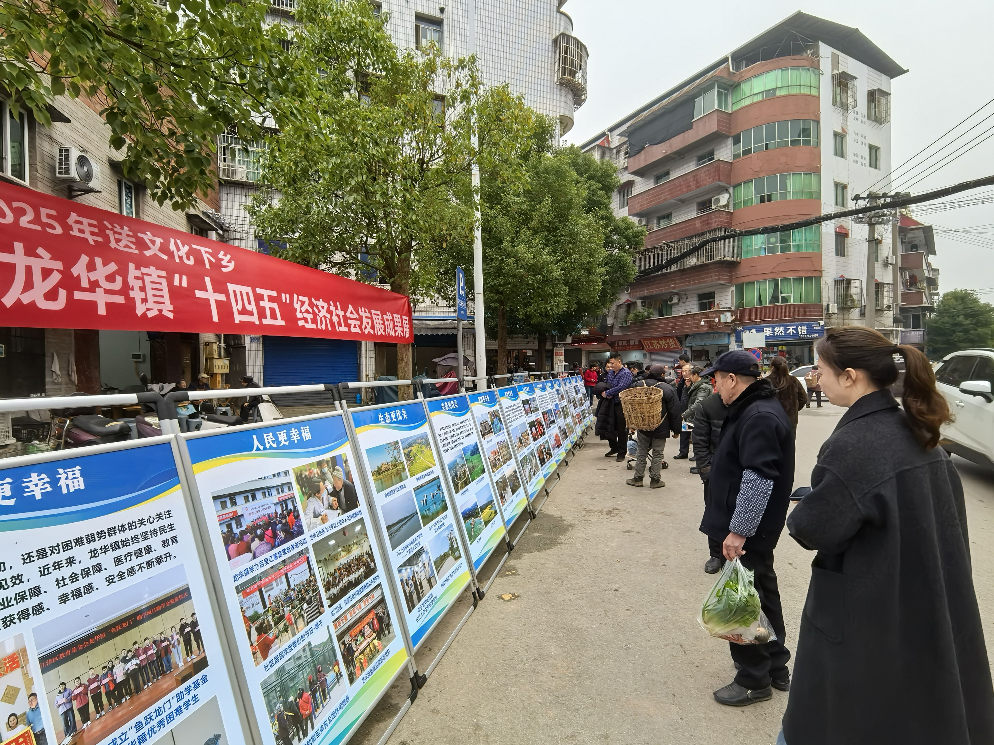 龙华镇开展集中宣传活动