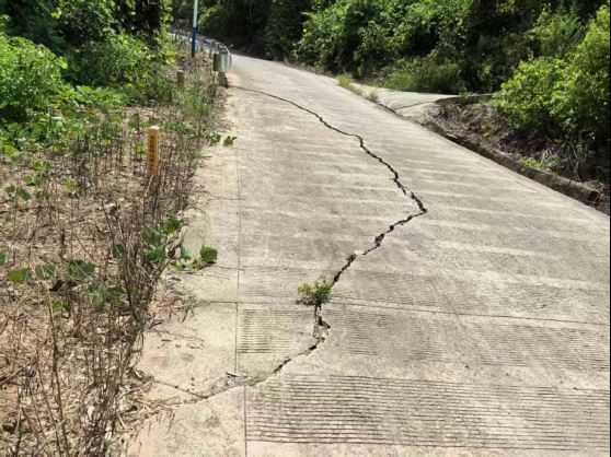 朱杨镇溶溪村：人大代表为民解忧 两条“民心路”旧貌换新颜