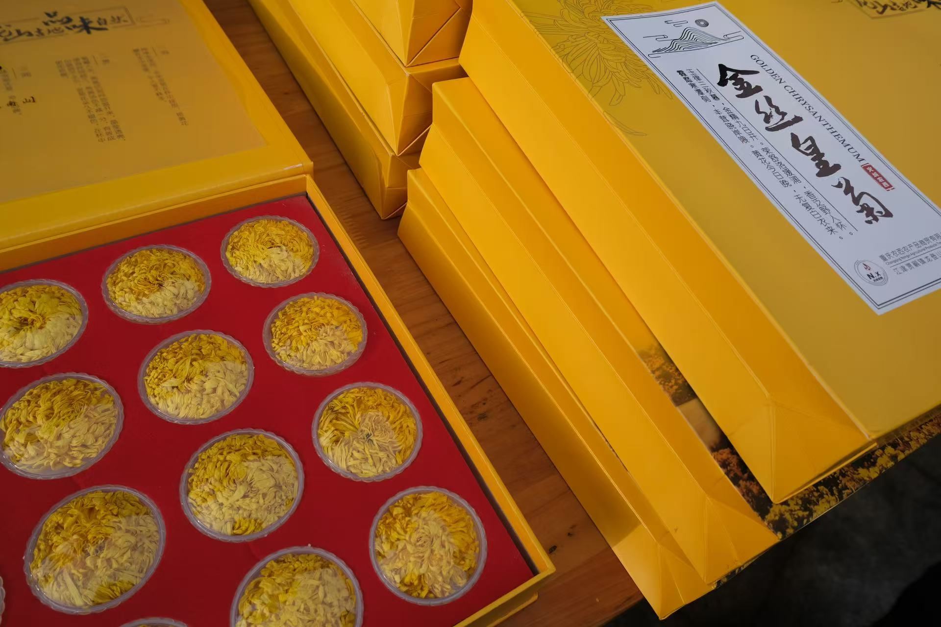 贾嗣镇：“龙山溢彩谱新篇·感恩同行谋发展”嘉年华活动成功举办