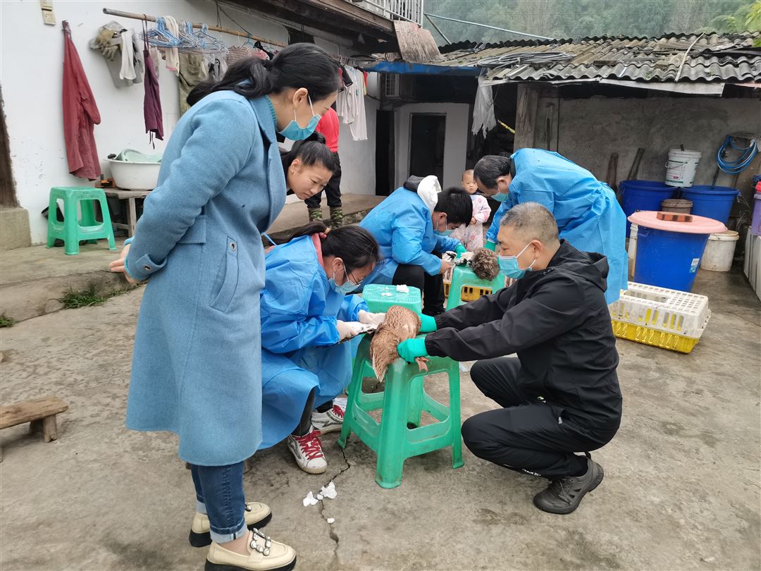 我区完成秋季动物疫病防控集中指导工作