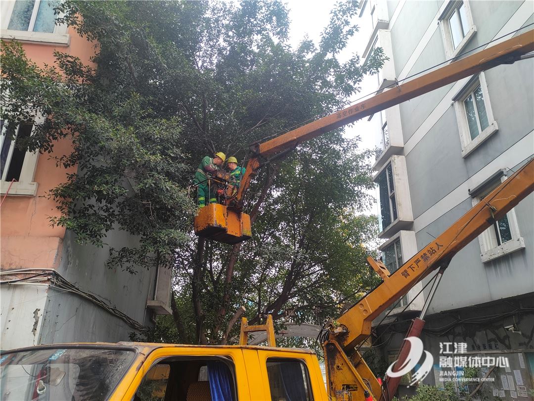 修枝除隐患  暖心获点赞