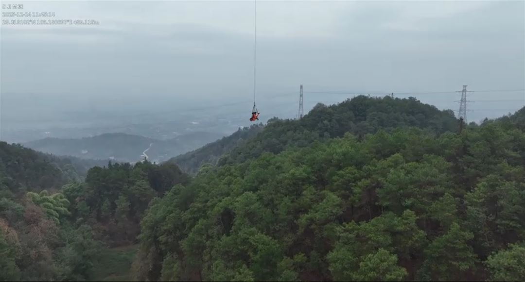江津区开启松材线虫病“无烟除治”新时代