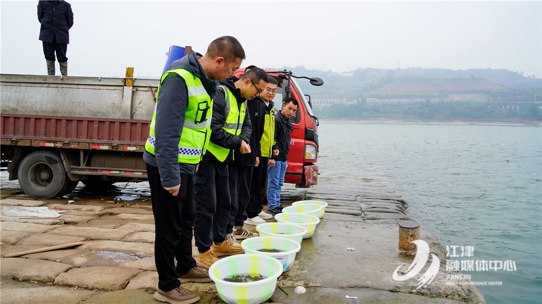 江津7万尾珍稀特有鱼类“安家”长江