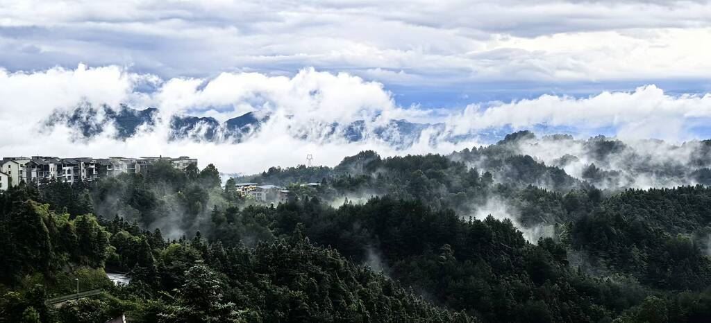 柏林镇:绘就金山银山的锦绣画卷