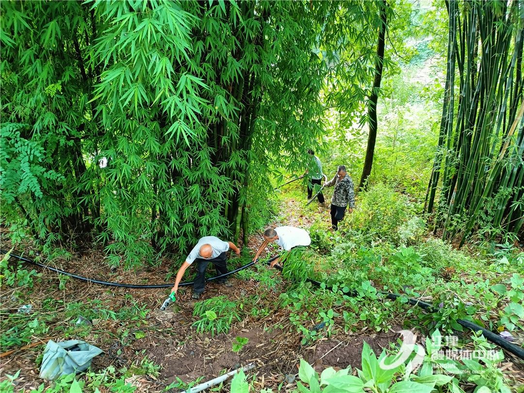 通水啦!白沙镇这项惠民工程破解群众 “用水难”