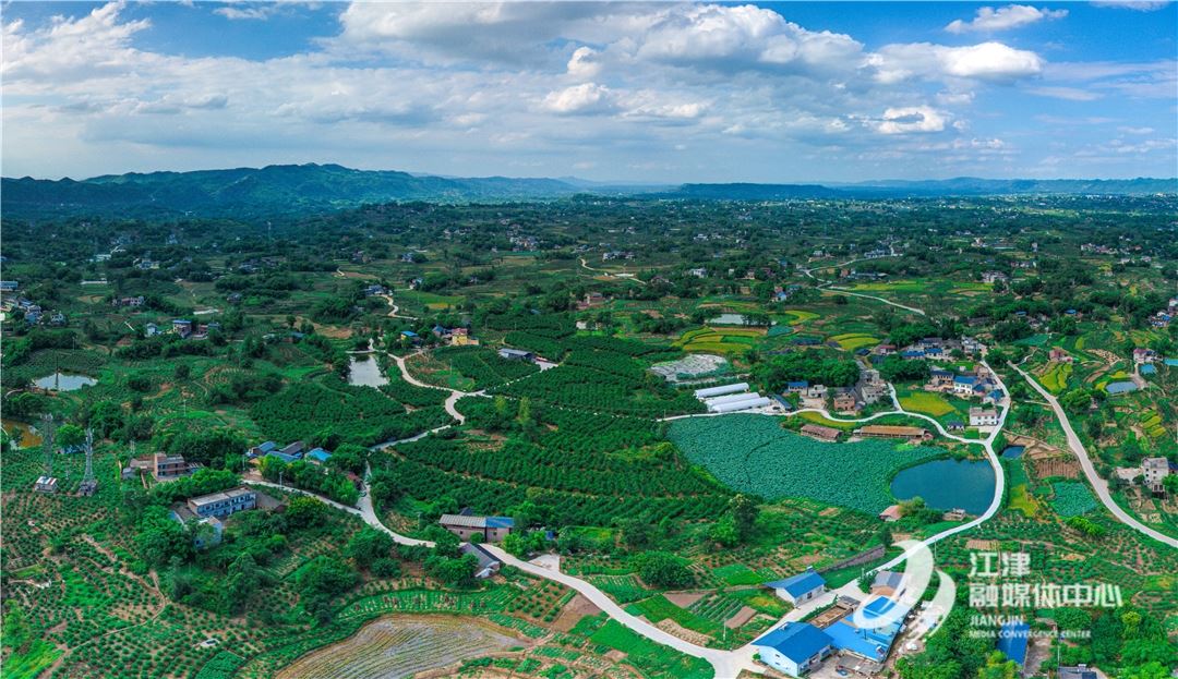 枢纽聚能破局 蝶变油溪领航——锚定节点城镇定位 书写高质量发展新答卷