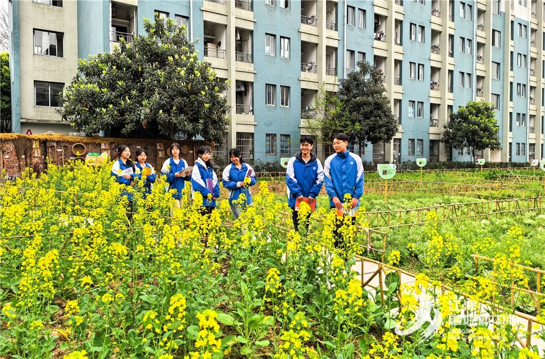 新学期新成果  田家炳中学学生迎来“最美打卡地”