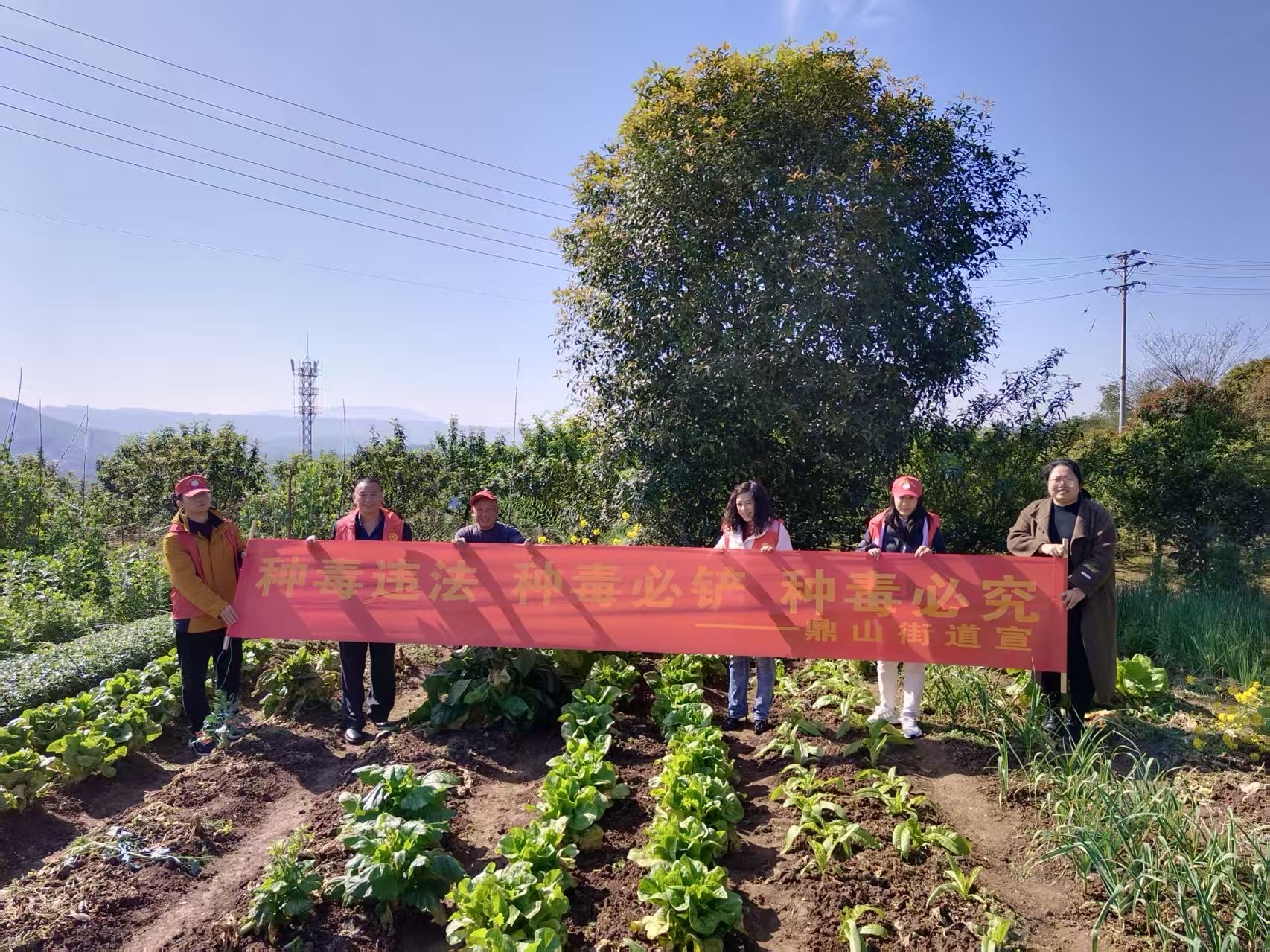鼎山街道开展禁毒宣传进万家活动 筑牢社区安全防线