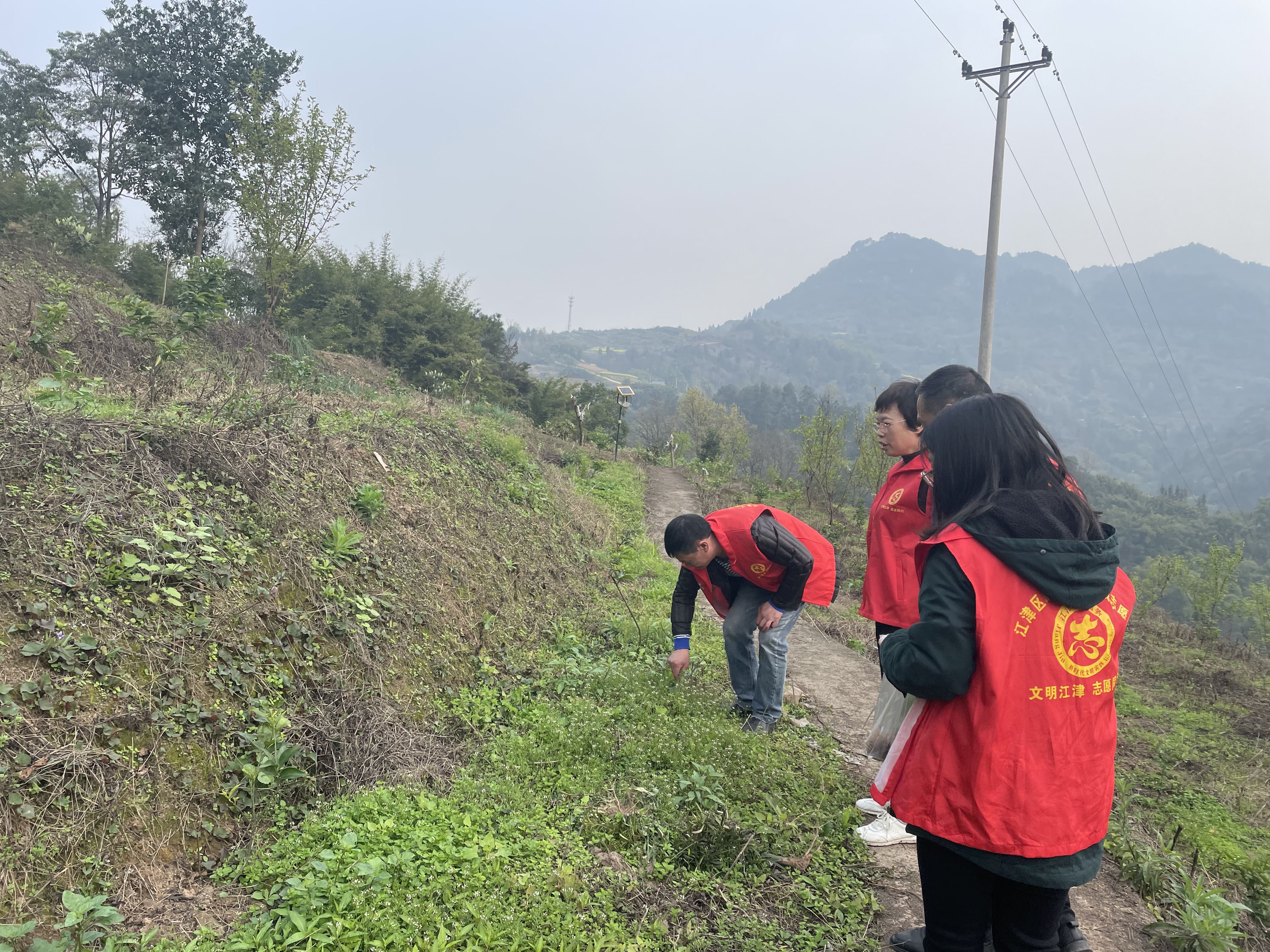 筑牢禁种铲毒“防火墙” 永兴镇开展节后禁种铲毒踏查行动