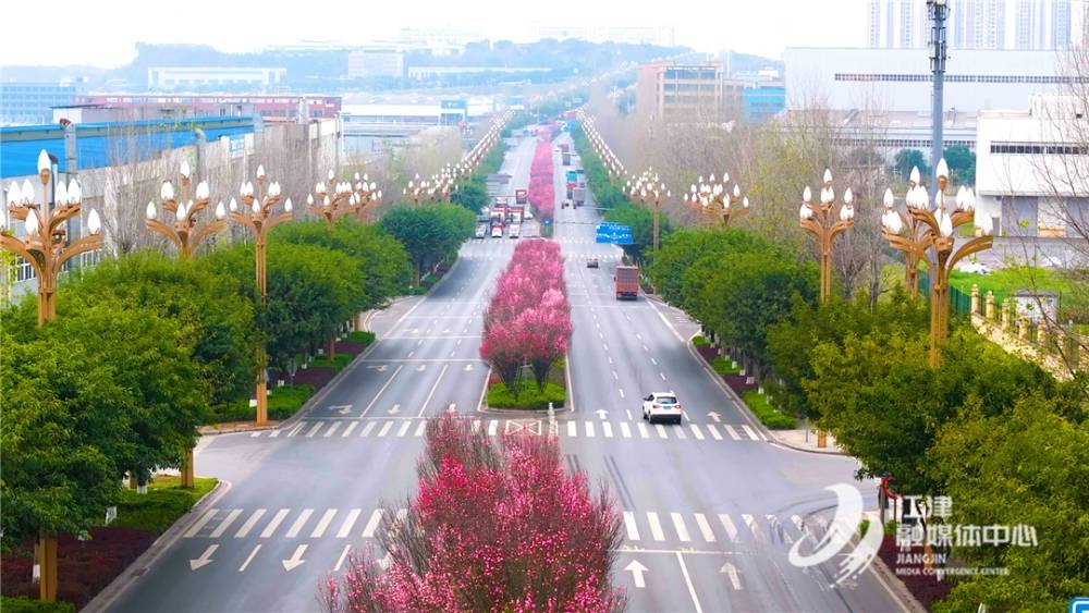 徜徉春日 邂逅绝美繁花